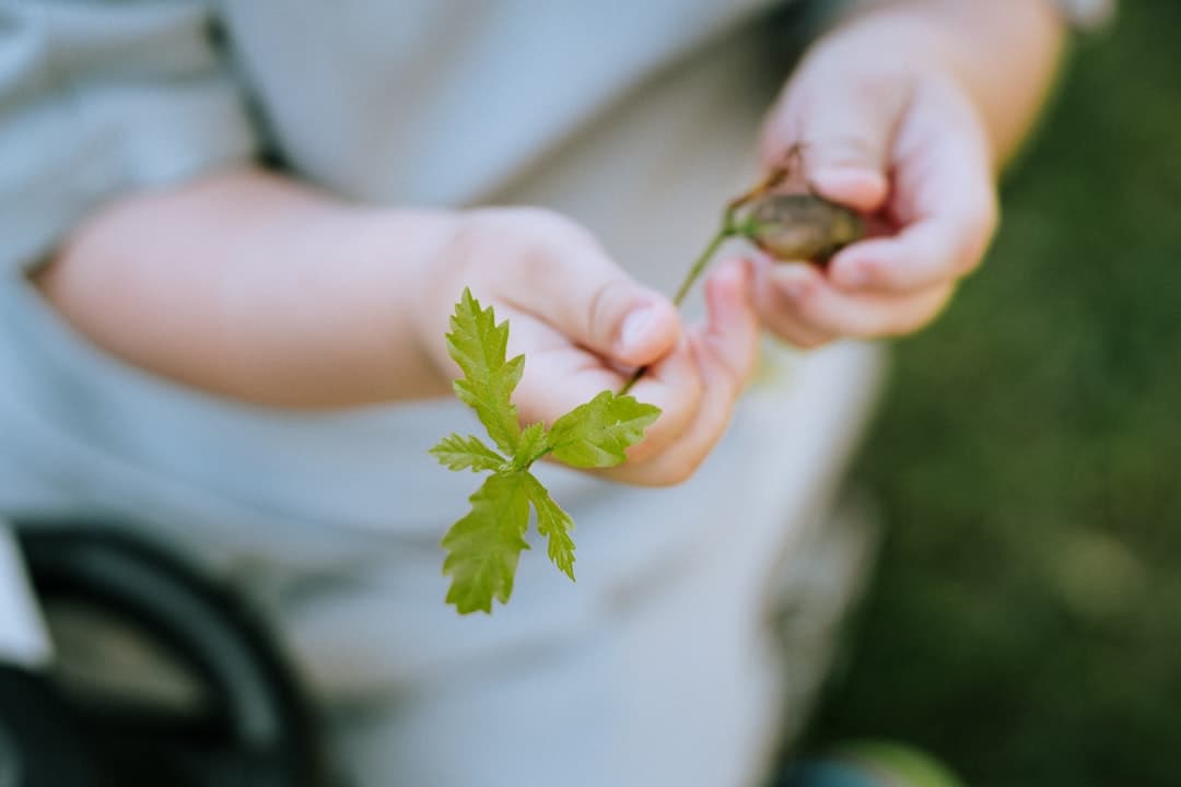 Hands-on nature exploration